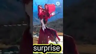 #shortsnba #shortvideos #viralg #goneviral #viralnba  #viralvideos