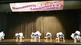 Gardetanz Aktivengarde 2016/2017 Hoffenheimer Carneval Club