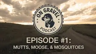 On Gravel Ep. #1: Mutts, Moose, and Mosquitoes