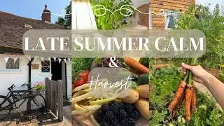 Late Summer in the English Countryside | Harvest, Coastal Views & Slow Living Vlog🥕