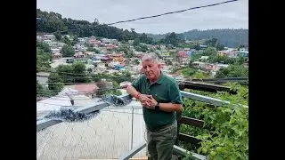 LUCIANO DELGADO   ENAMORADO