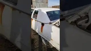 2021 derby car build