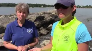 #OceanRunnerNH: Секрет морского стекла