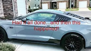2019 Mustang GT VINYL WRAP install and review