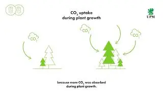 Biogenic carbon: Renewable vs Fossil Films