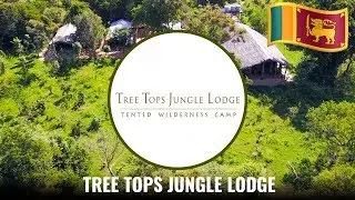 Tree Tops Jungle Lodge  | Beautiful Resorts Sri Lanka | Buttala