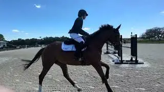 Gigi training level sj at Rocking horse