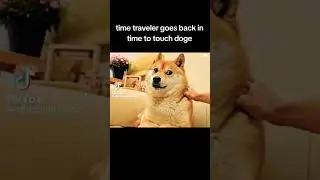 Time traveler goes back in time to touch doge #doge #ai #time #timetravel #vine #vines #tiktok #fyp