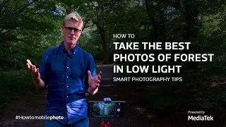 How to Take the Best Photos of Forest in Low Light | Smart Photography Tips