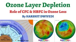 Ozone Gas a Boon or Bane, What is Ozone Layer Depletion and Role of Chloro Fluoro Carbons In it