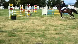 Silverstrike Blaze Tinahely- 90s 1st place