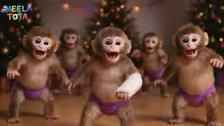Monkey Dancing Video 🐒💃 | Funny Monkey Dance | Kids Funny Video