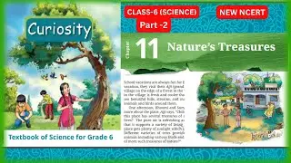 Nature&rsquo;s Treasures |Chapter - 11 | Class 6 Science |CURIOSITY | Part-2 #class6thscience