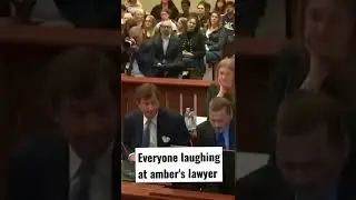 Everyone Laughing at Amber Heard's Lawyer!*FUNNY*