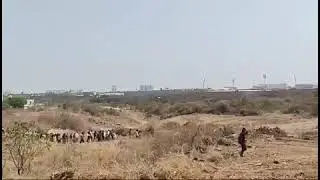 Gachibowli land auction|| agitation from HCU Students