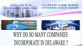 WHY DO SO MANY COMPANIES INCORPORATE IN DELAWARE ?