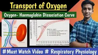 Transport of Oxygen || Oxygen Haemoglobin Dissociation Curve|| Respiratory Physio|| hindi|| Ashish