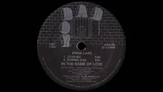 Swan Lake - In The Name Of Love (Club Mix)