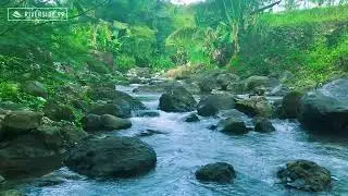 River Sounds White Noise for Sleeping | Peaceful Flowing Water for Calm Night Rest