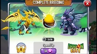 Dragon City: Dracon Dragon vs Shycon Dragon [EXCLUSIVE BREEDING] 😍