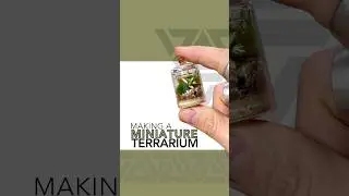 Miniature terrariums are always my favorite 🥹 #terrarium #plants #moss