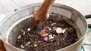 Easy Composting with Marigold Mini &ndash; Explained