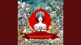 Ormanda Kaybolmuş Bir Yaprak