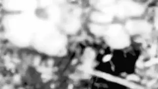 PAINTING PETALS ON PLANET GHOST - Sono ko hatachi (official video)