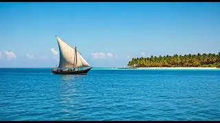 The Wild Safari Explorer : Into the Wild Waters of Lake Victoria Shot in 4K | Safari  Documentary