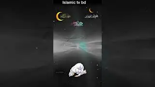 মুসলমানদের জন্য সুখবর &hearts;️#shorts #shortvideo #islamicshorts #motivation