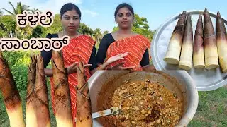 ನೀವು ಒಂದ್ಸಲ ಟ್ರೈ ಮಾಡಿ ಕಳಲೆ ಸಾಂಬಾರ್ | Kalale Sambar | village ladies cooking