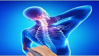 My Back Pain Coach: Huge Commissions In A Huge Market