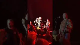 Rancid &ndash; Ruby Soho (Live 13.06.23 @ Schlachthof, Wiesbaden) #rancid #rubysoho #timarmstrong #punk