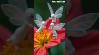 Magical Fairy World &ndash; A Journey Into Enchantment#TinyMagic #NatureFantasy #FairyLife #MagicalMoments