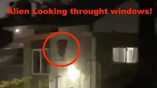 Alien Entity Looking into Windows, Los Angeles, California May 2025, UFO UAP Sighting News.