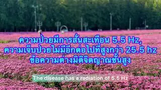 ความป่วยมีการสั่นสะเทือน 5.5 Hz,ความเจ็บป่วยไม่มีอีกต่อไปที่สูงกว่า 25.5 hz  ข้อความต่างมิติ EP 22