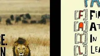 Motivation and Grooming