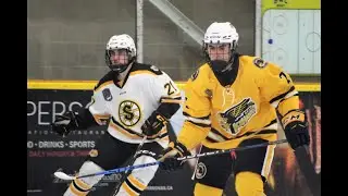 22/23 Delta Ice Hawks vs Steelers  2nd Round Playoffs | #7 Brandon Petrie '05 | R.Shot Dman (AP)