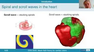 MS11D - Louise Arno: A mean-field theory for wave dynamics in the anisotropic cardiac wall