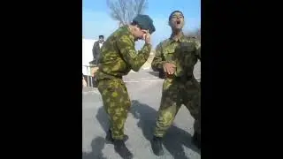 м. Кома ( хизмат як даврай ба хар як шери нара карзай )