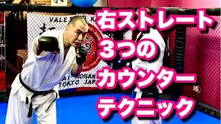 【勝つための打撃#3】倒すための右ストレートカウンター3つの打ち方 総合格闘技 空手道禅道会 東京支部