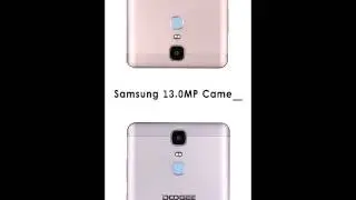 Y6MAX