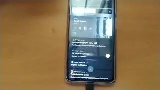Xiaomi x3 pro + Topping d10s working perfect