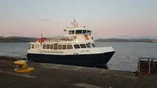 MV Ali Cat