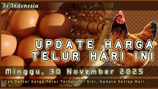 UPDATE HARGA TELUR AYAM RAS HARI INI, MINGGU 30 NOVEMBER 2025