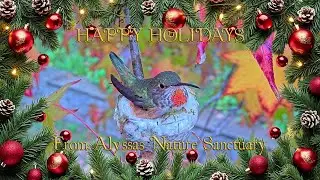 Happy Holidays from All of Us at Alyssa&rsquo;s Nature Sanctuary ❤️🎄🥳 #holiday #christmas #newyear