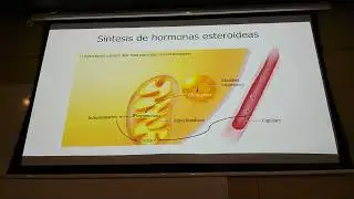 Fisiología 5