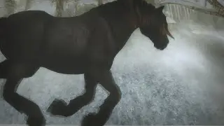 StarStable music video -Epic Rock