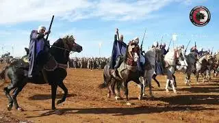 عالم الريف و الفرسان