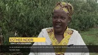 Inside Kakuzi: Murang'a Avocado Farmer Esther Nderi Shares Her Story